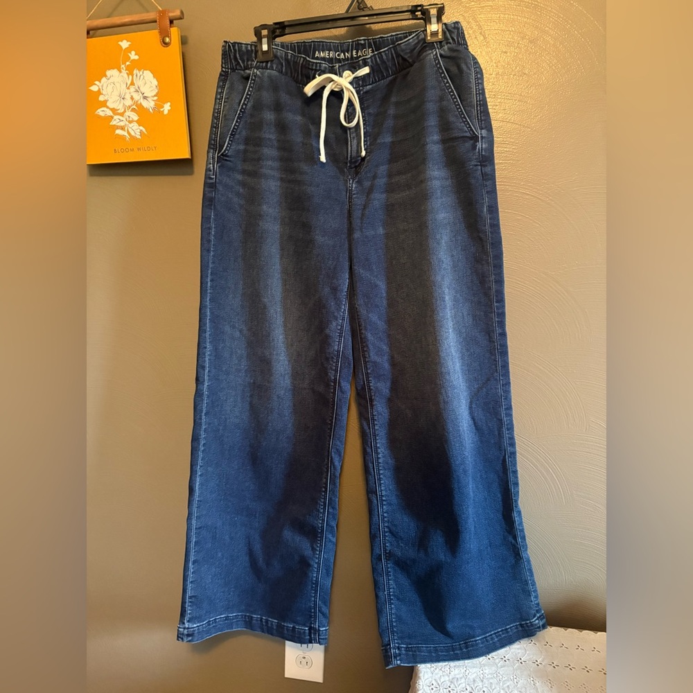 American Eagle Outfitters Blue Denim Pants